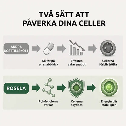 Amla Superfrukt-kapslar