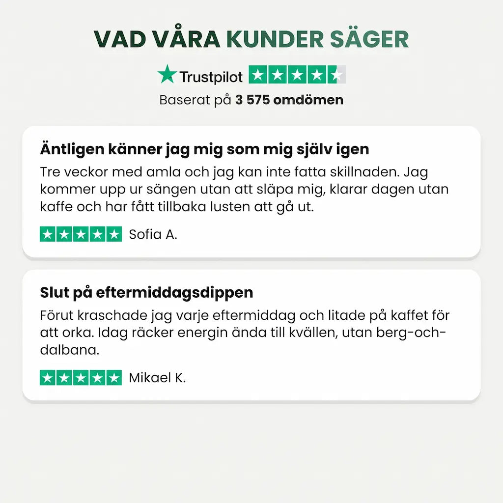 Amla Superfrukt-kapslar