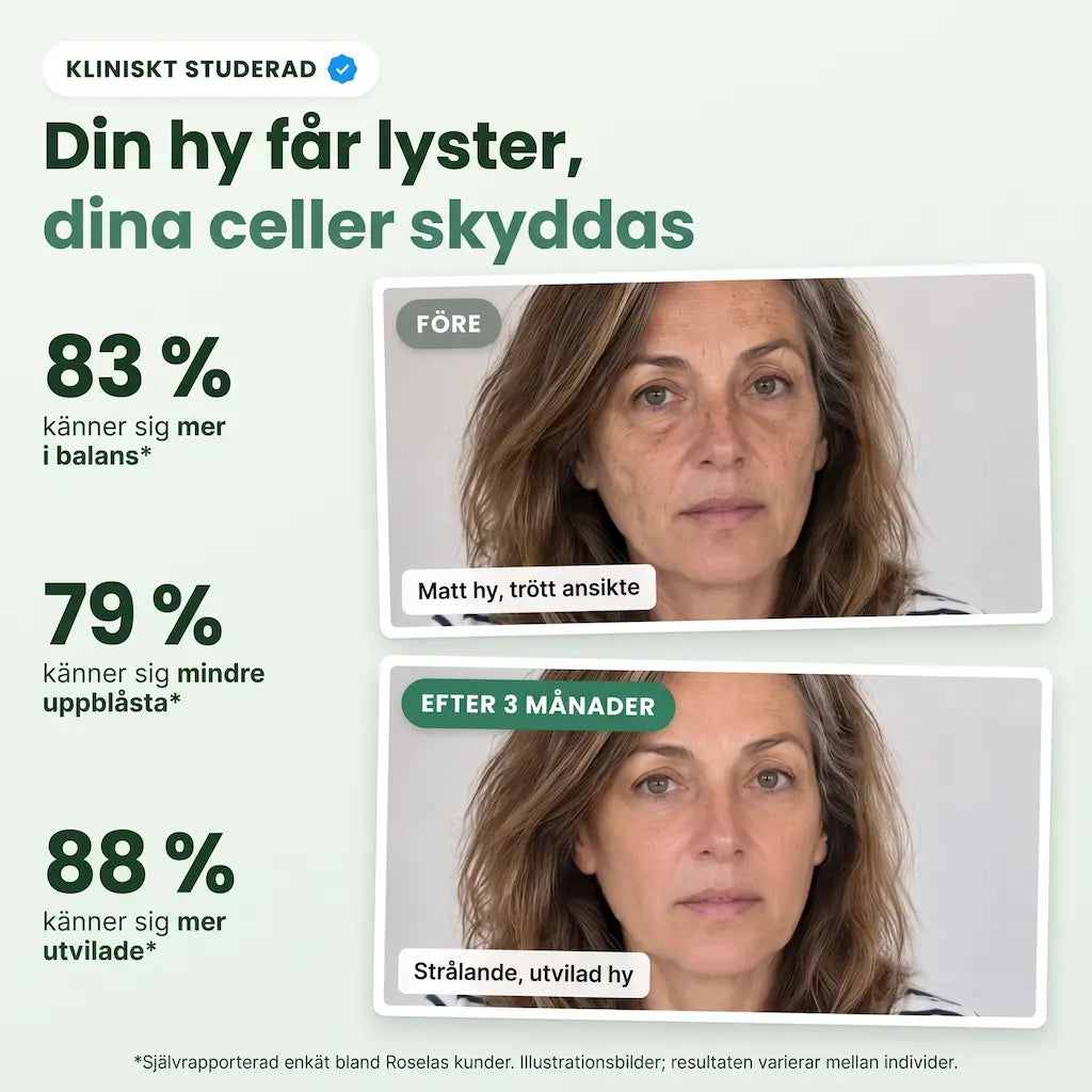 Amla Superfrukt-kapslar